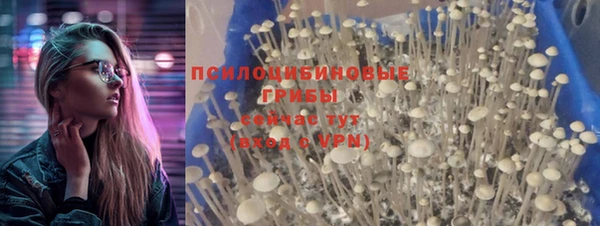 Альфа ПВП Арсеньев